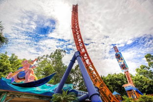 探索孩子世界的奇妙之旅，创意游乐活动的名称精选