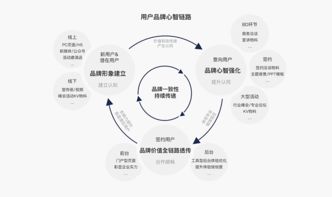 如何撰写企业发展历程模板，关键要素与步骤指南