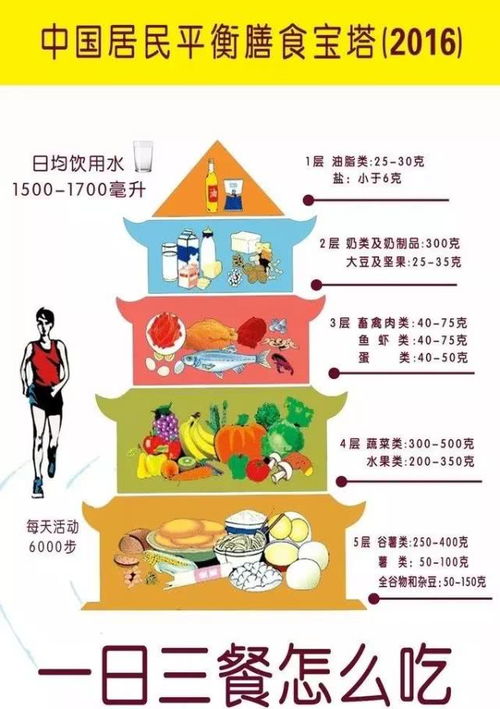 饮食营养均衡金字塔，为孩子打造健康饮食习惯