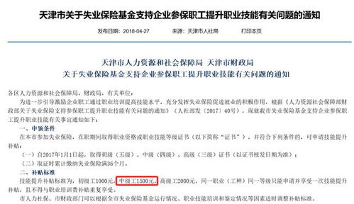 幼教专业毕业生的多元发展路径，探索小学编制考试的可能性