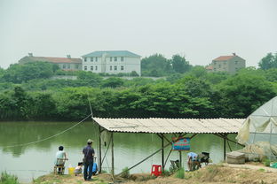 乡村亲子游，探索农村旅游吃喝玩乐的亲子乐趣