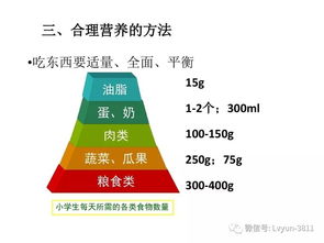 宝宝健康成长，一日三餐的营养分配指南