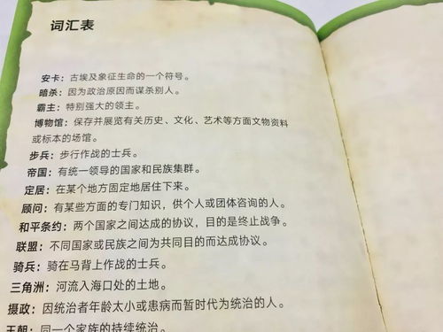 多趣的活动，激发孩子创造力的600字作文