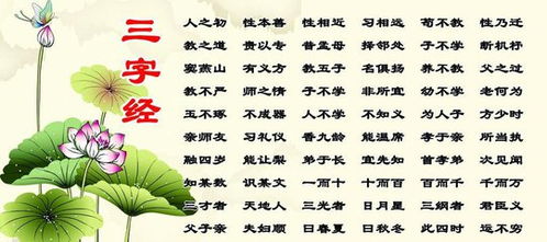 三字经幼儿版，启蒙教育的高清视觉盛宴