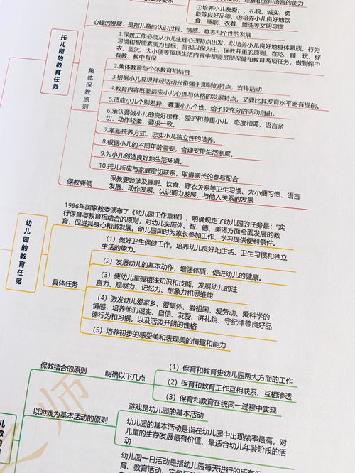 幼儿教育学心理学1000题库，深入理解儿童心理发展