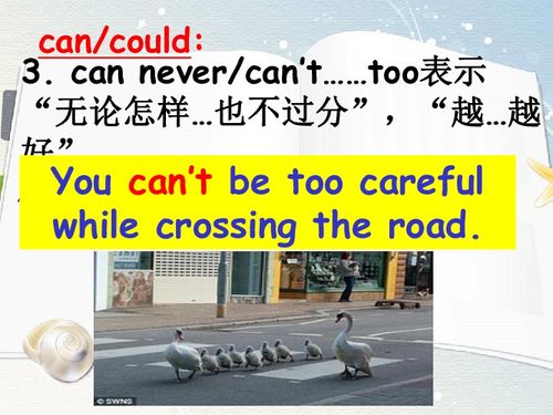 The Nutritional Pyramid:A Guide to a Balanced Diet in English