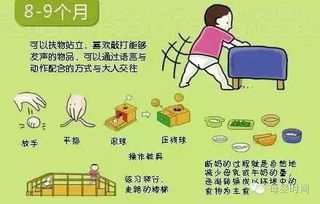 理解儿童活动玩法，促进孩子全面发展的关键