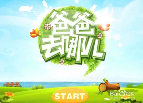 亲子互动新风尚，创意活动方案与小游戏推荐