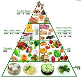 食物的营养物质含量，为孩子健康成长提供科学饮食指南