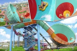 新奇特游乐设施，孩子的快乐源泉与安全考量