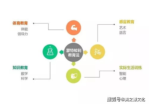 全面理解儿童成长发展的需求，身体、情感、社交与认知的平衡
