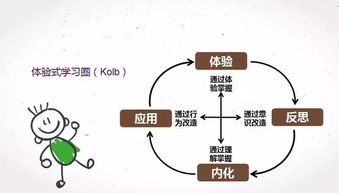 全面理解儿童成长发展的需求，身体、情感、社交与认知的平衡