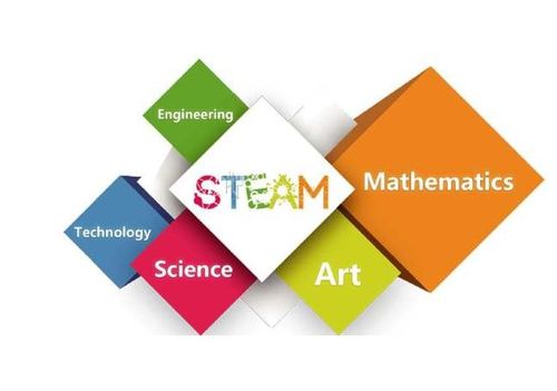 幼儿园专业代码查询指南，为孩子的教育选择正确的路径