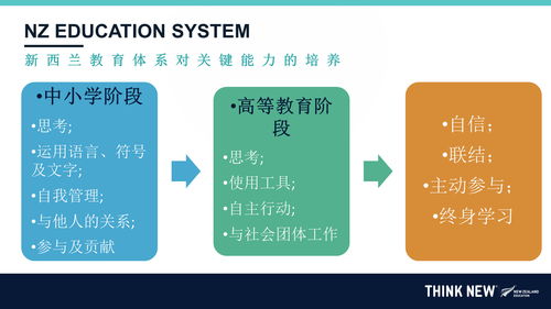 探索幼儿社区教育，特点、优势与实践路径
