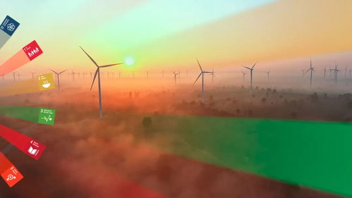 企业发展与育儿，如何平衡工作与家庭生活