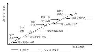 企业成长阶段划分，理解企业发展的生命周期