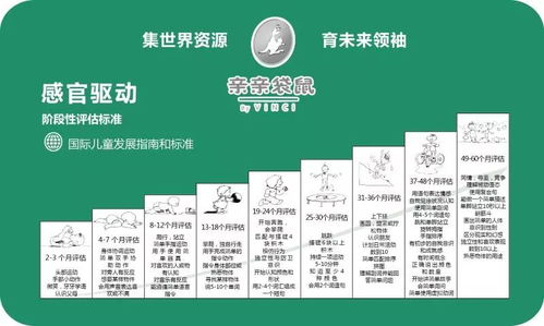 幼儿园教学活动名词解释，理解关键术语，提升教育质量