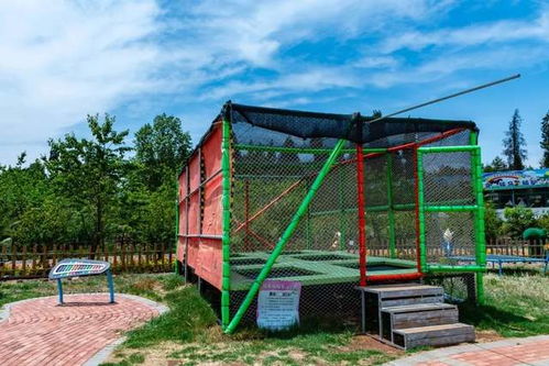 亲子游乐项目，促进家庭互动与儿童发展的桥梁