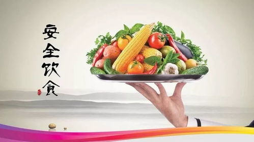 全面掌握食物营养与配餐，为孩子打造健康饮食计划