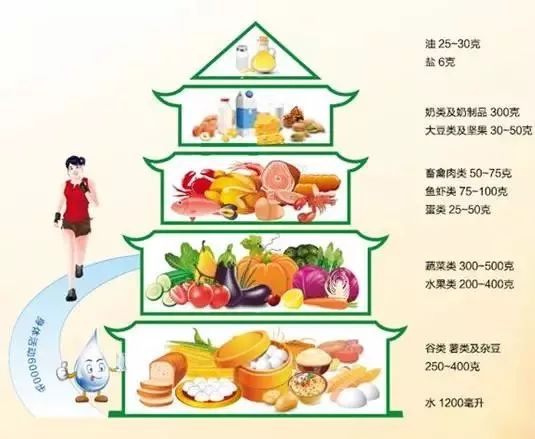 构建孩子健康成长的营养膳食搭配金字塔
