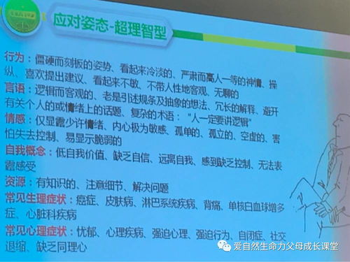 幼儿园课程概念名词全解析，为孩子的教育打下坚实基础