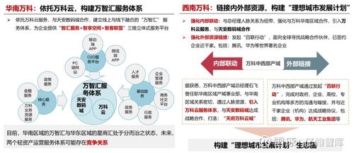 如何撰写企业的发展历史，一份详尽的指南