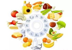 宝宝健康成长的秘密，食物搭配法则