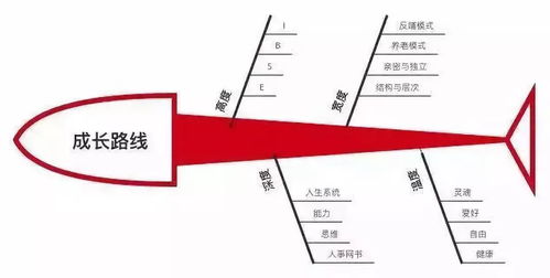 三年内成长计划，为孩子打造全面而均衡的发展蓝图