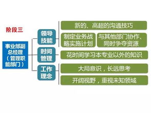 企业成长历程，从初创到成熟的关键阶段