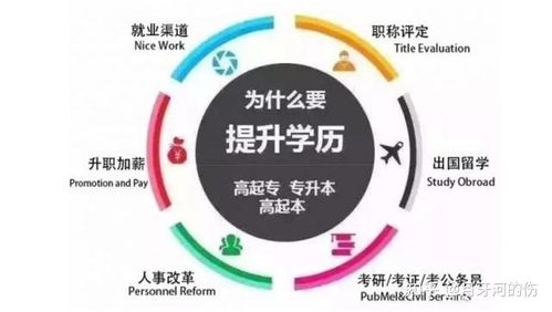 幼儿教育的学术层次，大专与本科的比较与选择