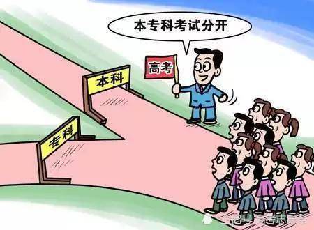 幼儿教育的学术层次，大专与本科的比较与选择