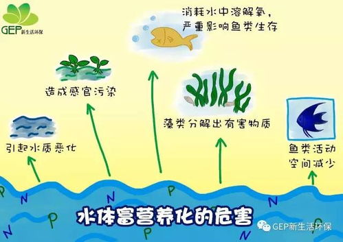 水与儿童成长，探索水在儿童发展中的重要性
