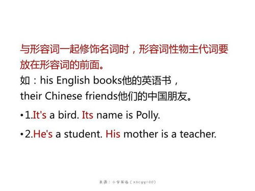 如何用英语促进儿童全面发展，语言、认知和社会技能的综合培养