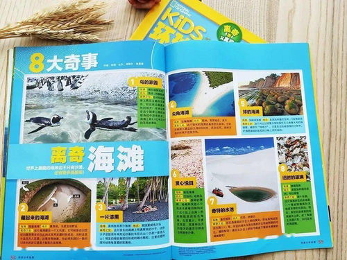 幼儿教育杂志，国家级刊物的权威与价值