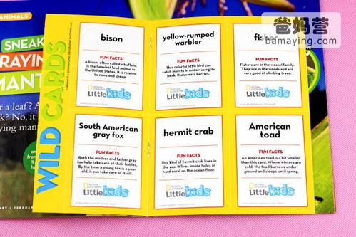 幼儿教育杂志，国家级刊物的权威与价值