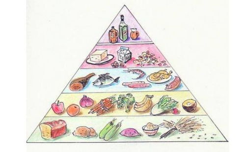 营养金字塔，孩子健康成长的指南针