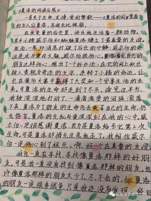 幼儿教育杂志摘抄与深度反思，构建孩子成长的坚实基石