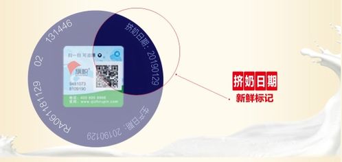 营养速查，为孩子健康成长打造的食物营养成分宝典