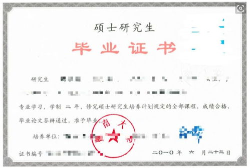 启航教育之路，解析报考幼儿园教师资格证的最低学历要求