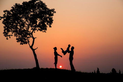 成长和发展，正确理解孩子成长的误区