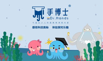 全面而精准，构建幼儿教育课程的科学与艺术