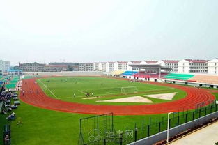 幼儿教育专业，未来就业市场的黄金赛道