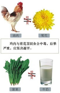 营养学食物能量表，为孩子打造健康饮食计划