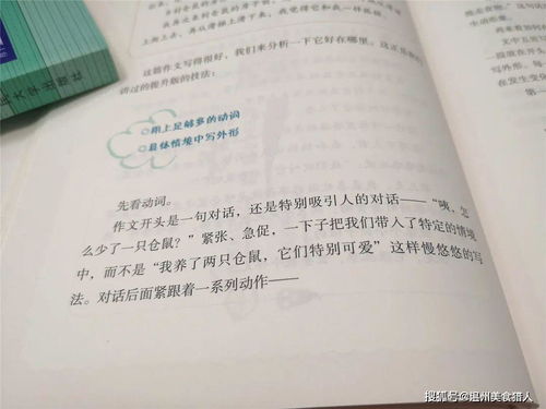 激发创意与表达，如何引导孩子写出精彩的玩耍作文