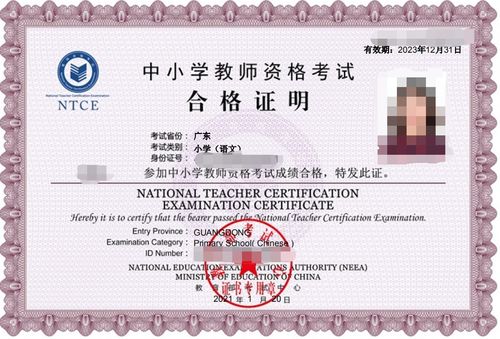 学前教育专家视角，如何通过中学教师资格考试