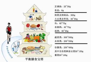 构建孩子健康成长的膳食营养金字塔图