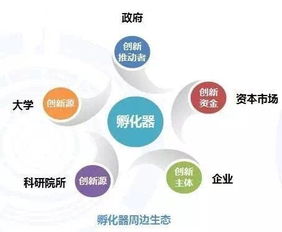 企业成长与发展，从初创到成熟的育儿类比