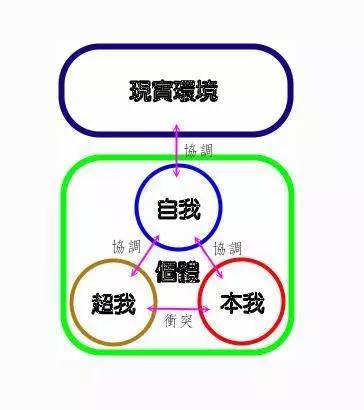 探索幼儿心灵的奥秘，幼儿心理学名词解释