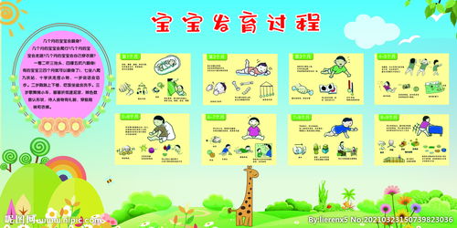 幼儿园成长指南，家长与孩子共同成长的心路历程