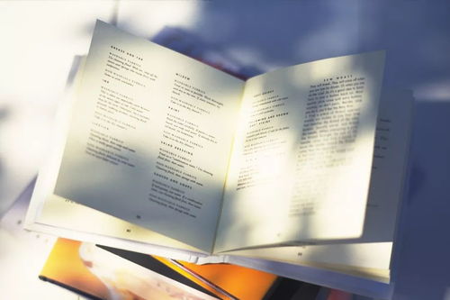 启航未来，深入解读著名幼儿教育书籍